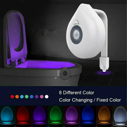 Toilet Bowl Night Light
