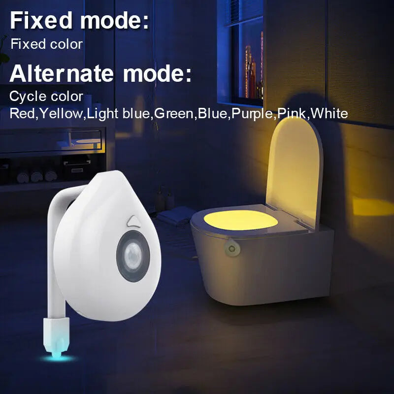 Toilet Bowl Night Light